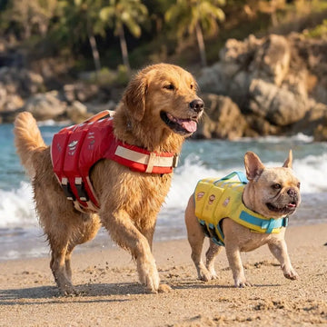 Pet Safety Vest with Head Support